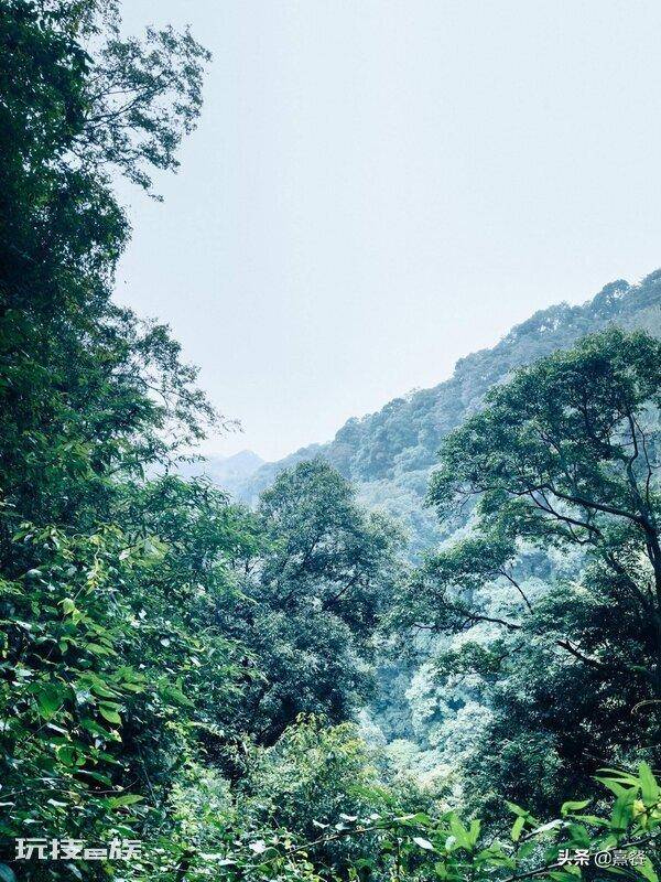 青城山海拔多少米高(成都都江堰青城山景区的游玩攻略)-图片5